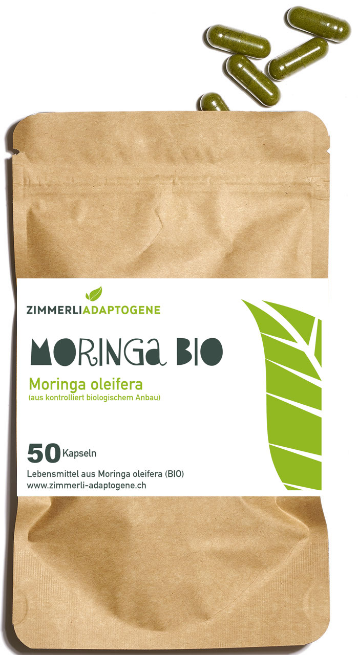 Moringa Olifeira in Karton Verpackung