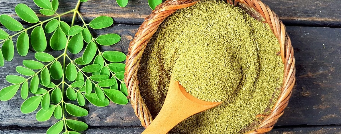 Moringa kaufen Schweiz – Wirkung, Anwendung, Studien & Bio-Qualität