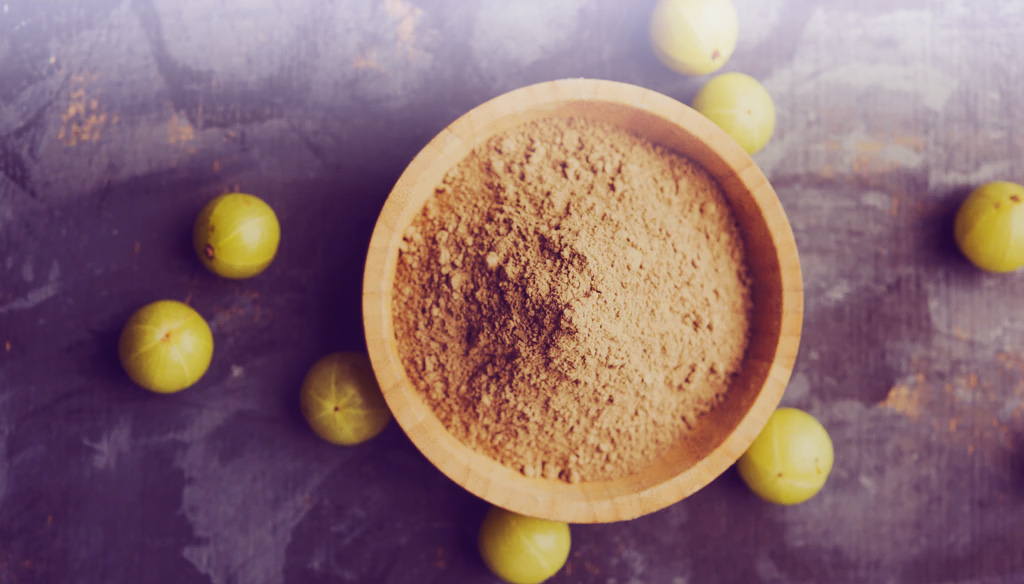 Amla Bio Beeren & das daraus gewonnene frische Pulver