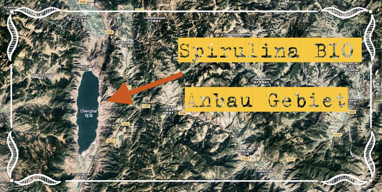 Spirulina Süsswasser BIO Zuchtbecken in China.