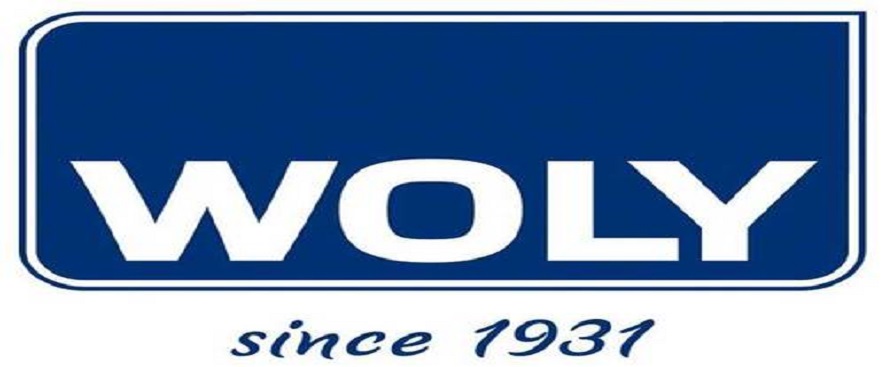 Woly Einlegesohlen