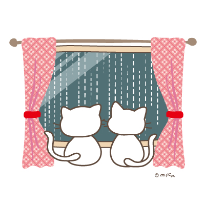 部屋から豪雨を眺めるネコ２匹