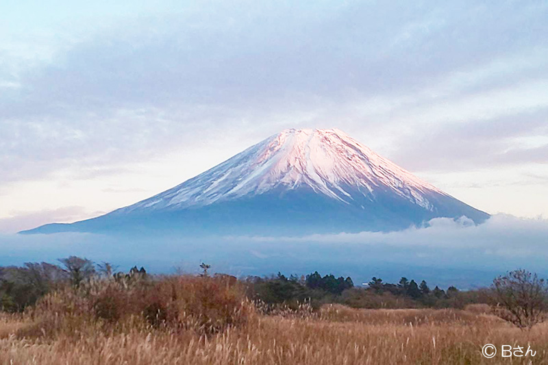 冬の富士山①（大阪府Bさん写真提供）