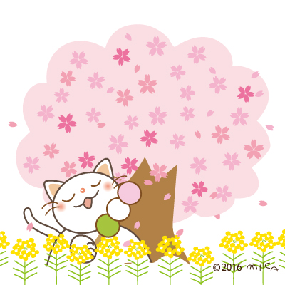 お花見ねこ