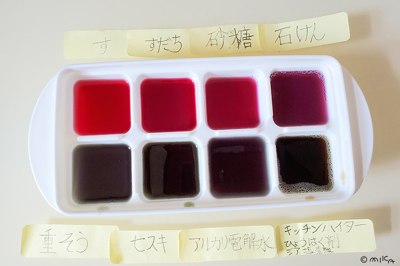 ブドウ果汁の実験