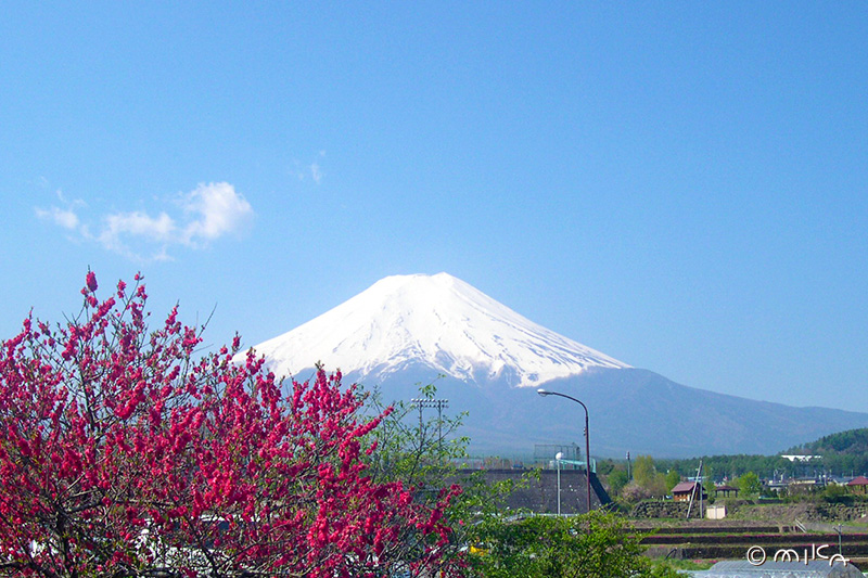 富士山（Mt.Fuji） - 『工房momo』