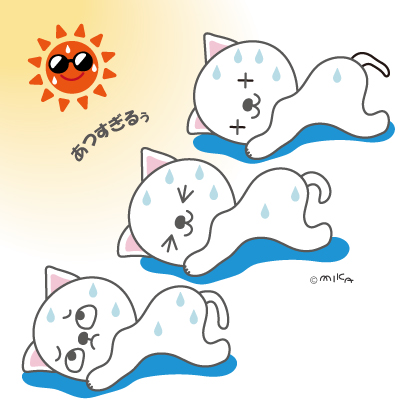 暑さにバテるねこ３匹