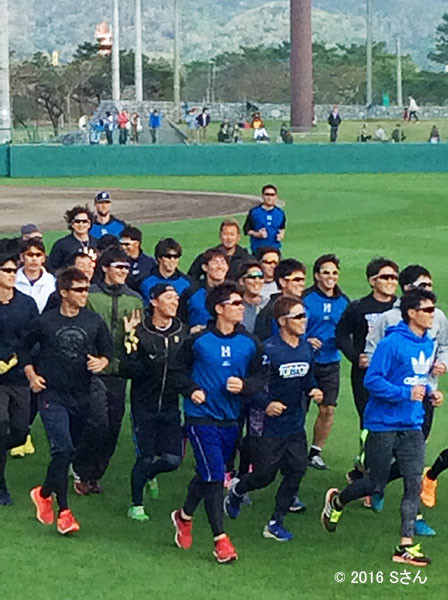 日本ハムの選手たちの沖縄春季キャンプでのランニング（大阪府Sさん）
