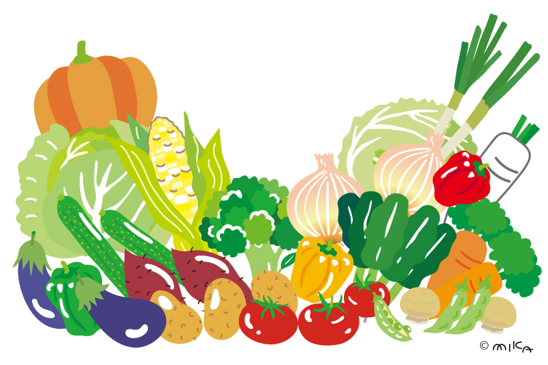 野菜たくさん