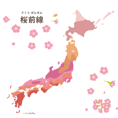 桜前線（サクラの開花予想の日本地図）