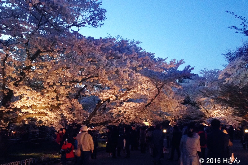 京都植物園（京都府Hさん）