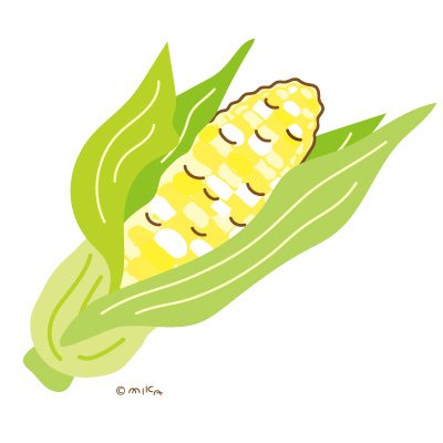 とうもろこし１本のイラスト