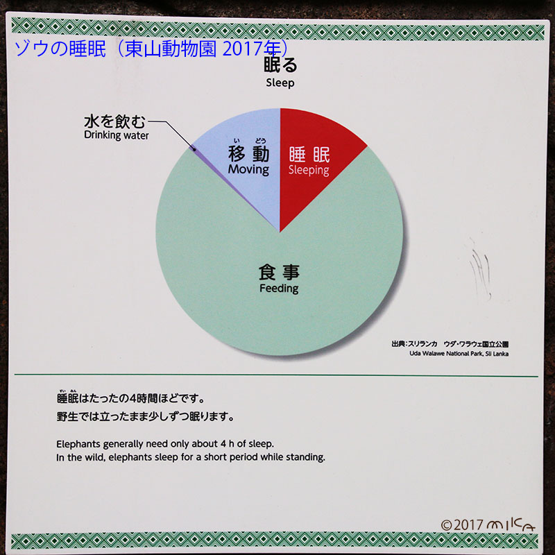 ゾウの睡眠時間など（東山動物園／2017年）