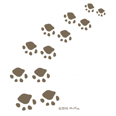 ねこの あしあと
