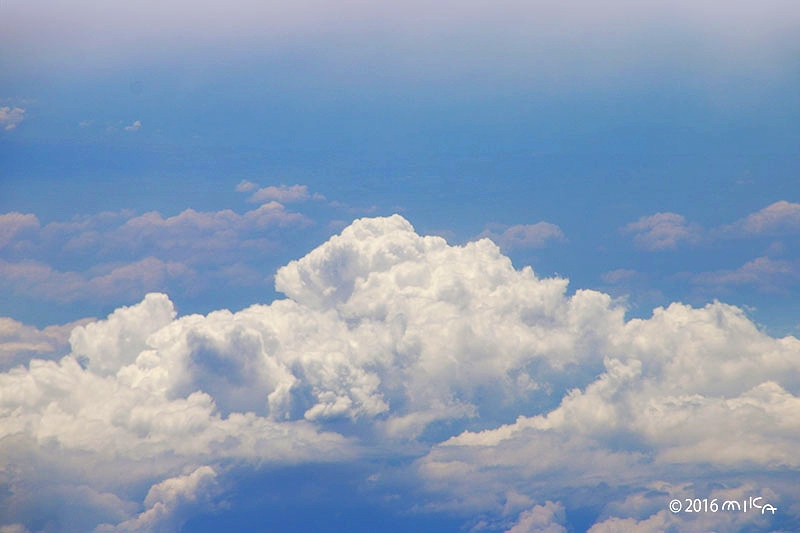 さかなの雲