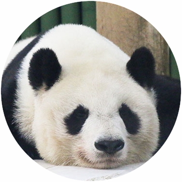 生き物