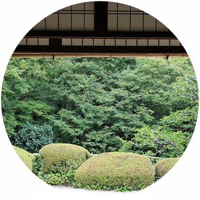 和KANSAi