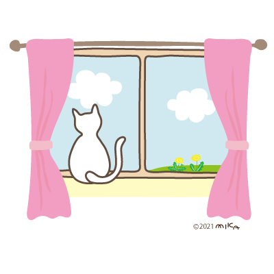 窓辺のねこ
