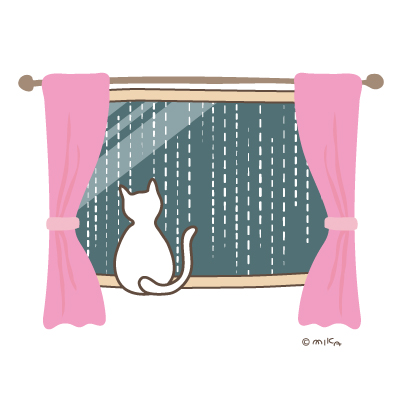 窓の外は豪雨（ねこ１匹）