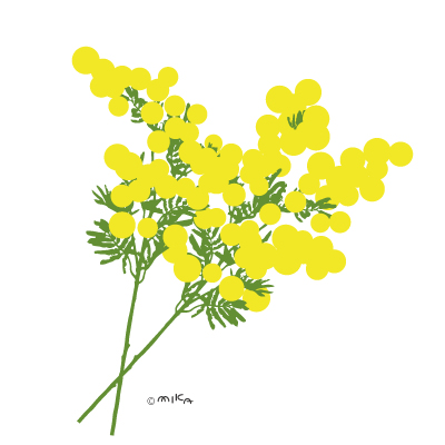 ミモザ２本