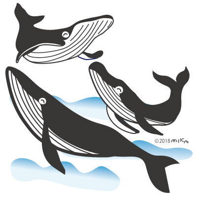 海の日 海の生物 工房momo