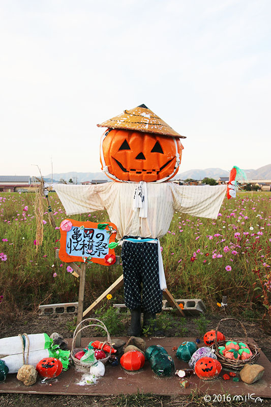 亀岡の収穫祭（瀬尾医院）亀岡夢コスモス園かかしコンテスト2016年