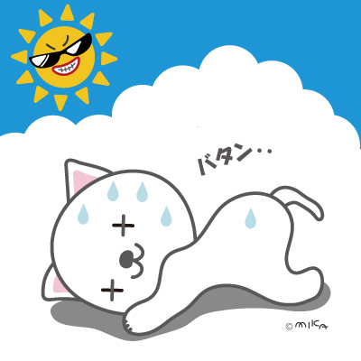 暑さにバテるねこ②