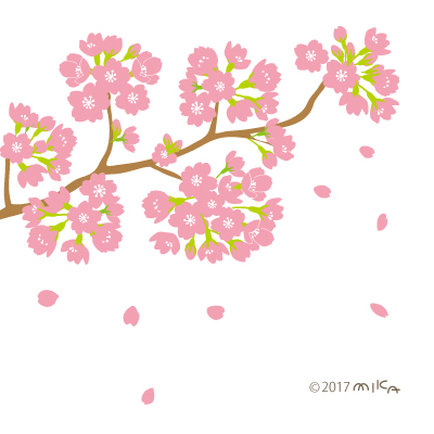 サクラの描き方