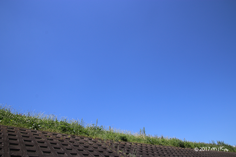 初夏の堤防（快晴）