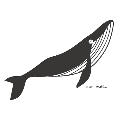 シロナガスクジラ③