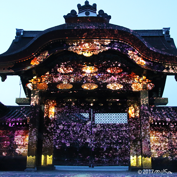 二条城桜まつり