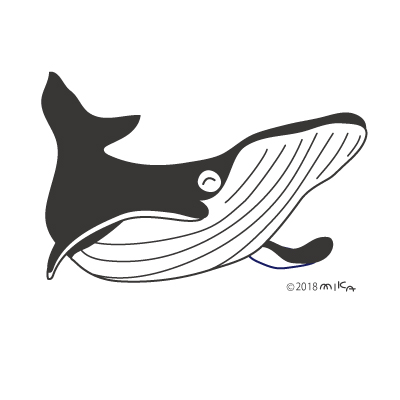 シロナガスクジラ①