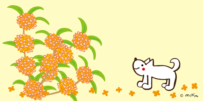 10月の花と実