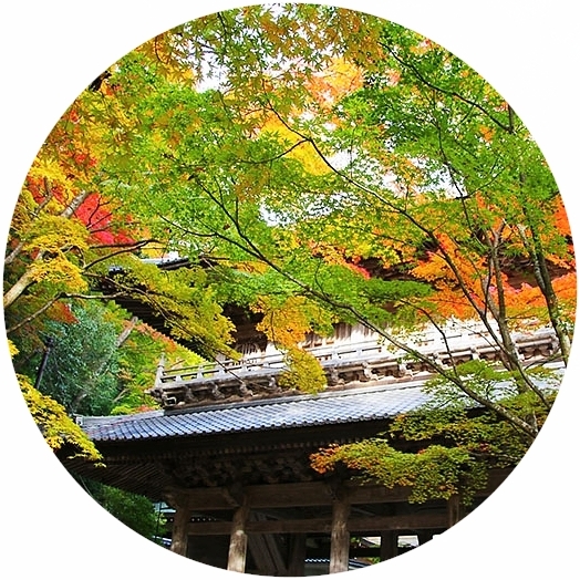 和KANSAI