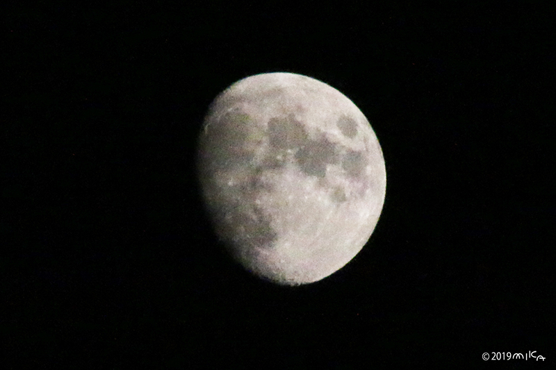 十三夜（2019年9月10日）