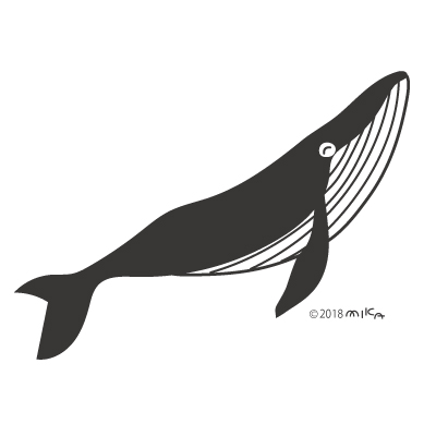 クジラとイルカ等のイラスト Illustration Of Sea Creatures 工房momo クジラとイルカ等のイラスト Illustration Of Sea Creatures 工房momo