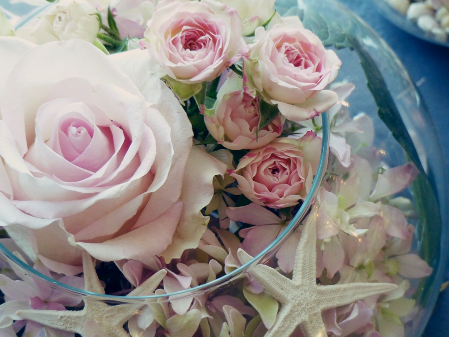 Accueil - Jardin des Carmes - Fleuriste Langon