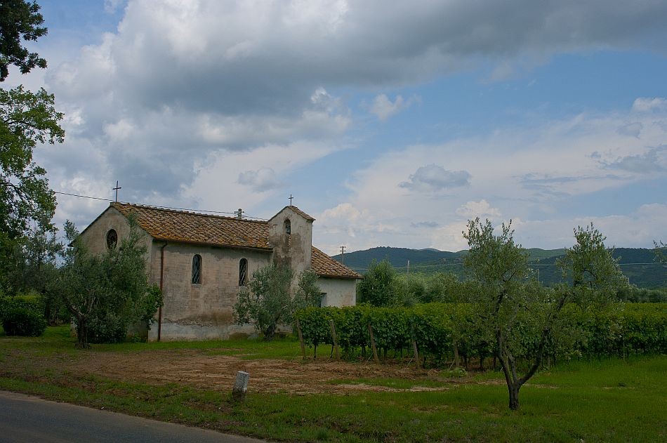 Winnica w okolicach Bolgheri Włochy