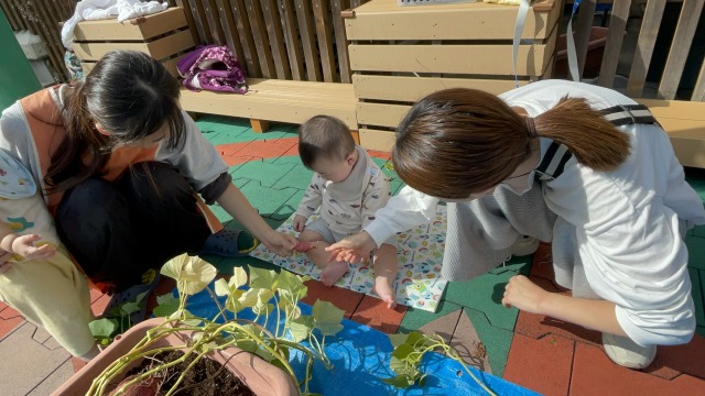 一緒にお芋堀り