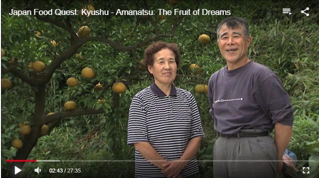 甘夏かあちゃん物語（ビデオ動画）【英語】　 Amanatsu The Fruit of Dreams（Japan Food Quest: Kyushu）