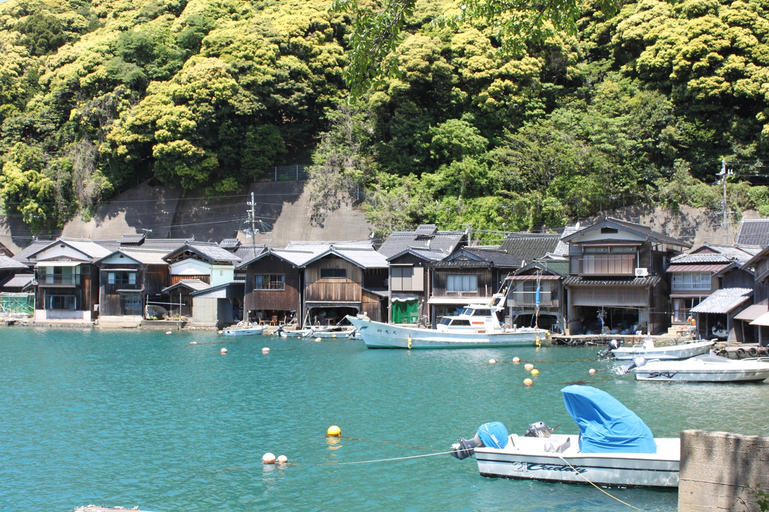 緑の絶景 !　新緑が美しい中　マンホール・ダムカード収集のドライブ旅　宮林勉様