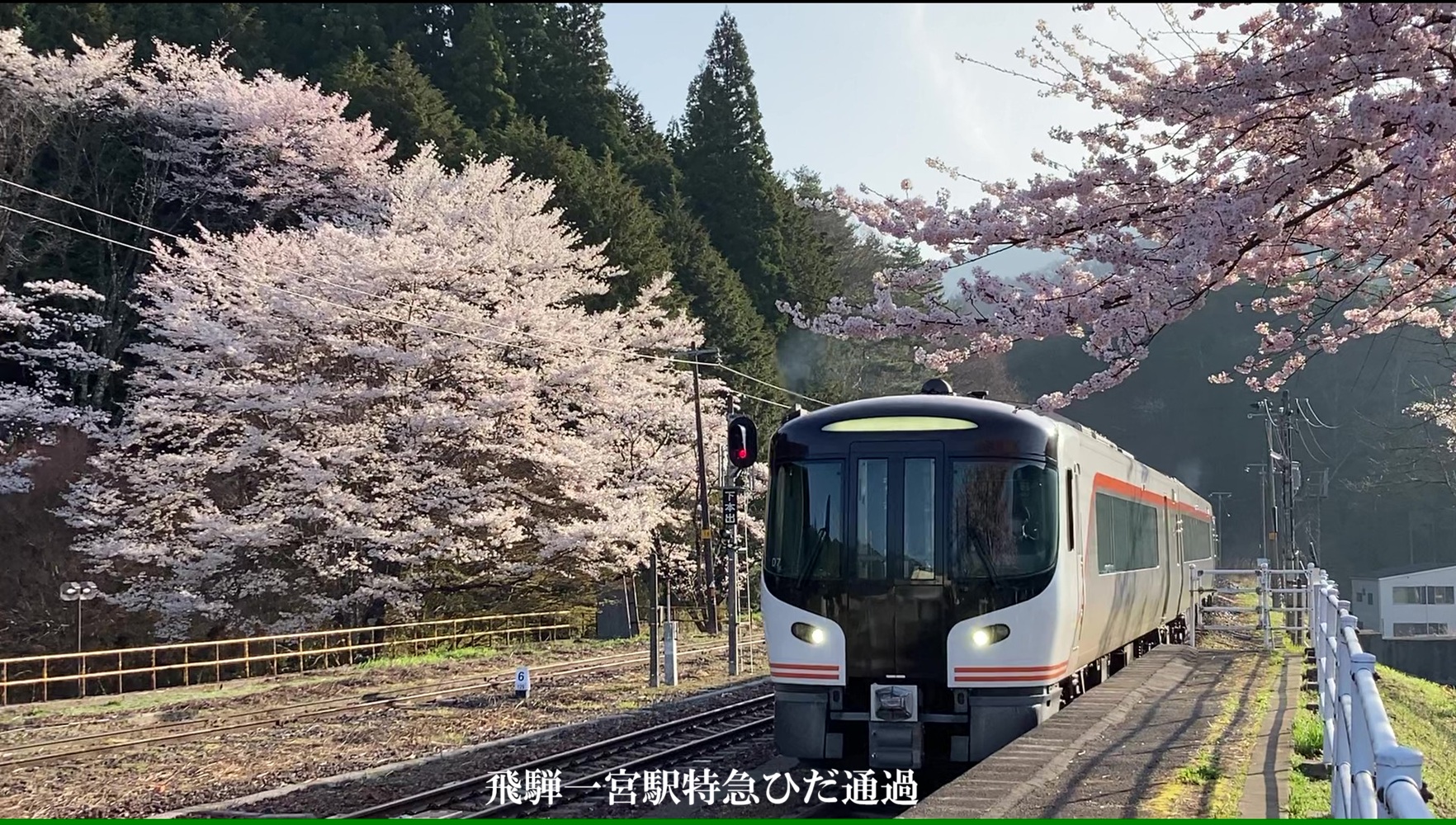 満開の桜を求めて西や東へのドライブ旅　宮林勉様