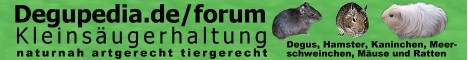 Naturnahe  Ernährung & Haltung von Kleinsäugern