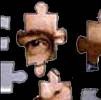 Harold Klemp puzzle