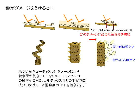 髪質改善は大阪ＲＥＥＬ