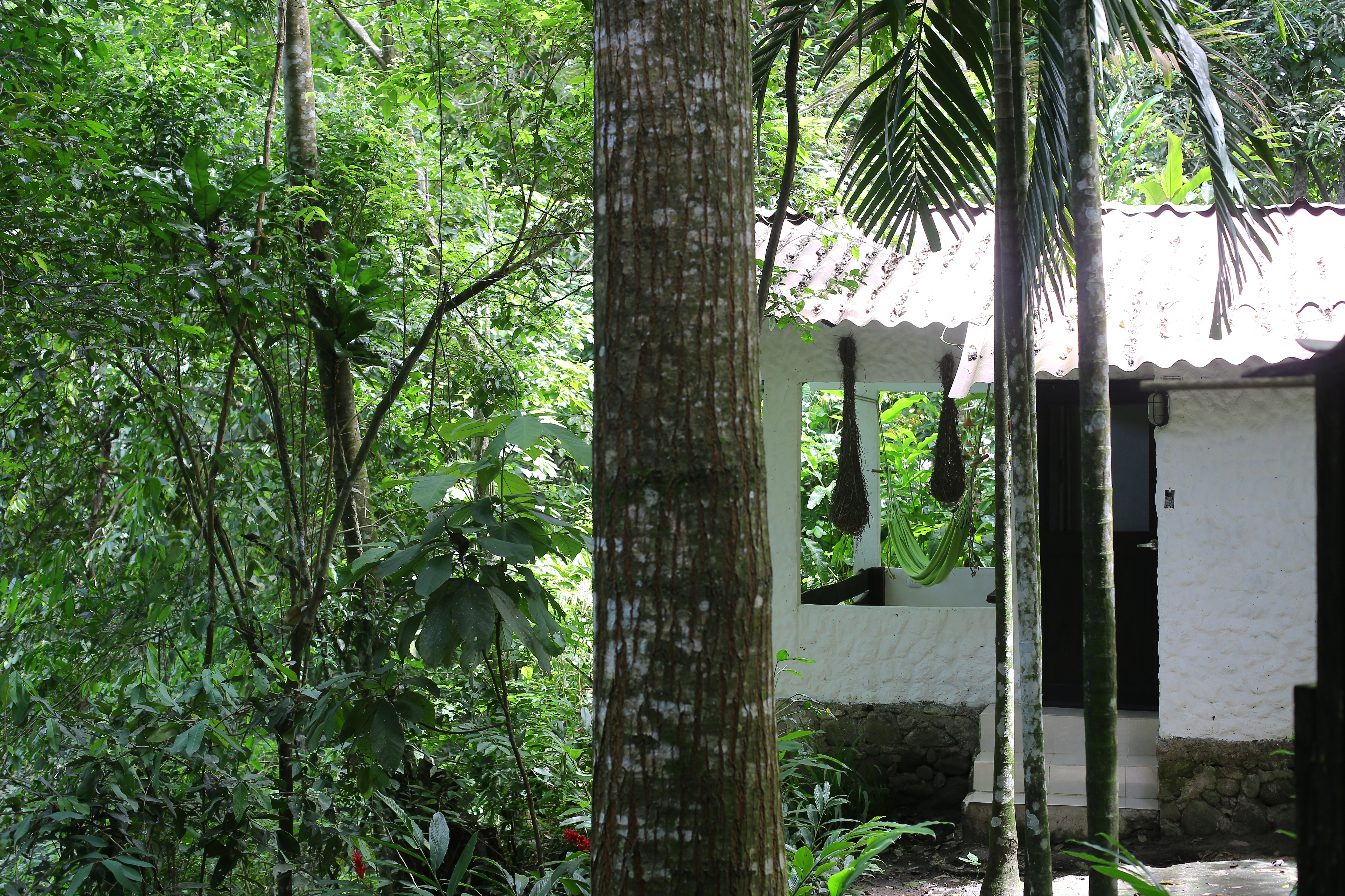 Boutique hostel in the area of Minca and Santa Marta