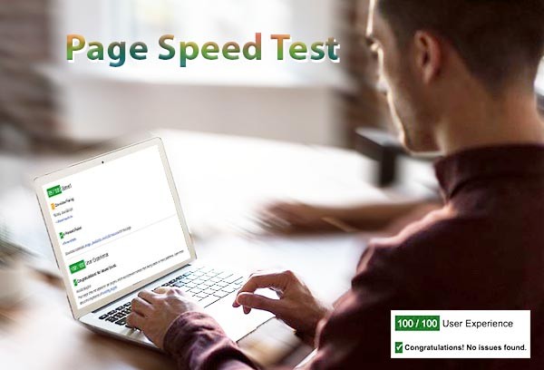 velocità hosting e page speed test