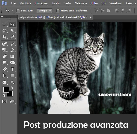 Post produzione fotografica professionale 8 Post produzione fotografica professionale 56