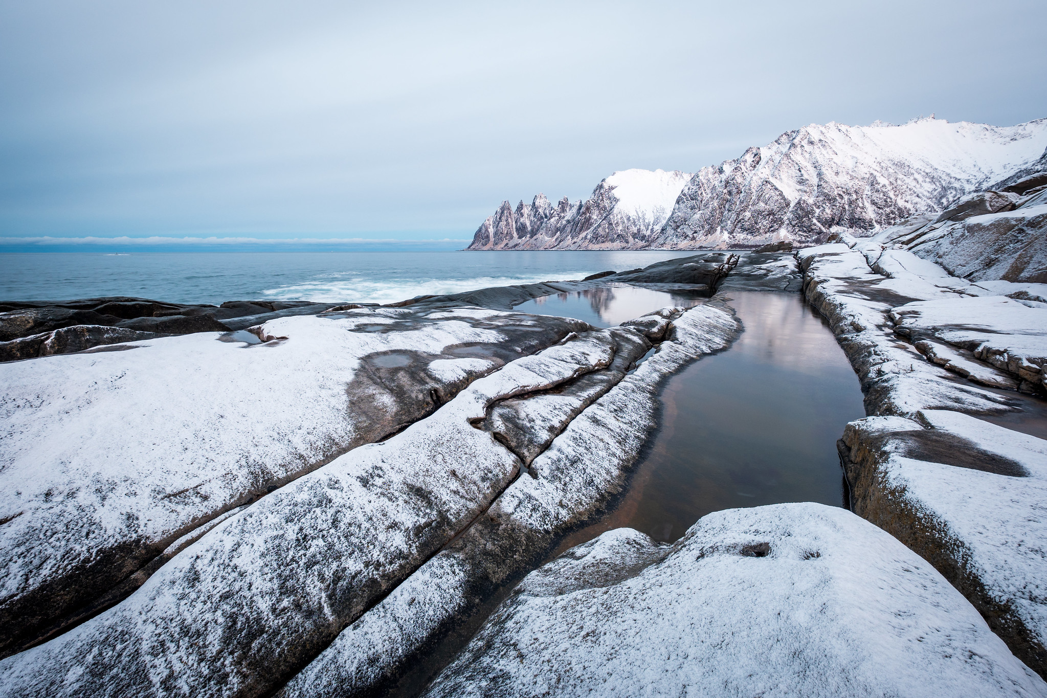 Tungeneset nach frischem Schneefall