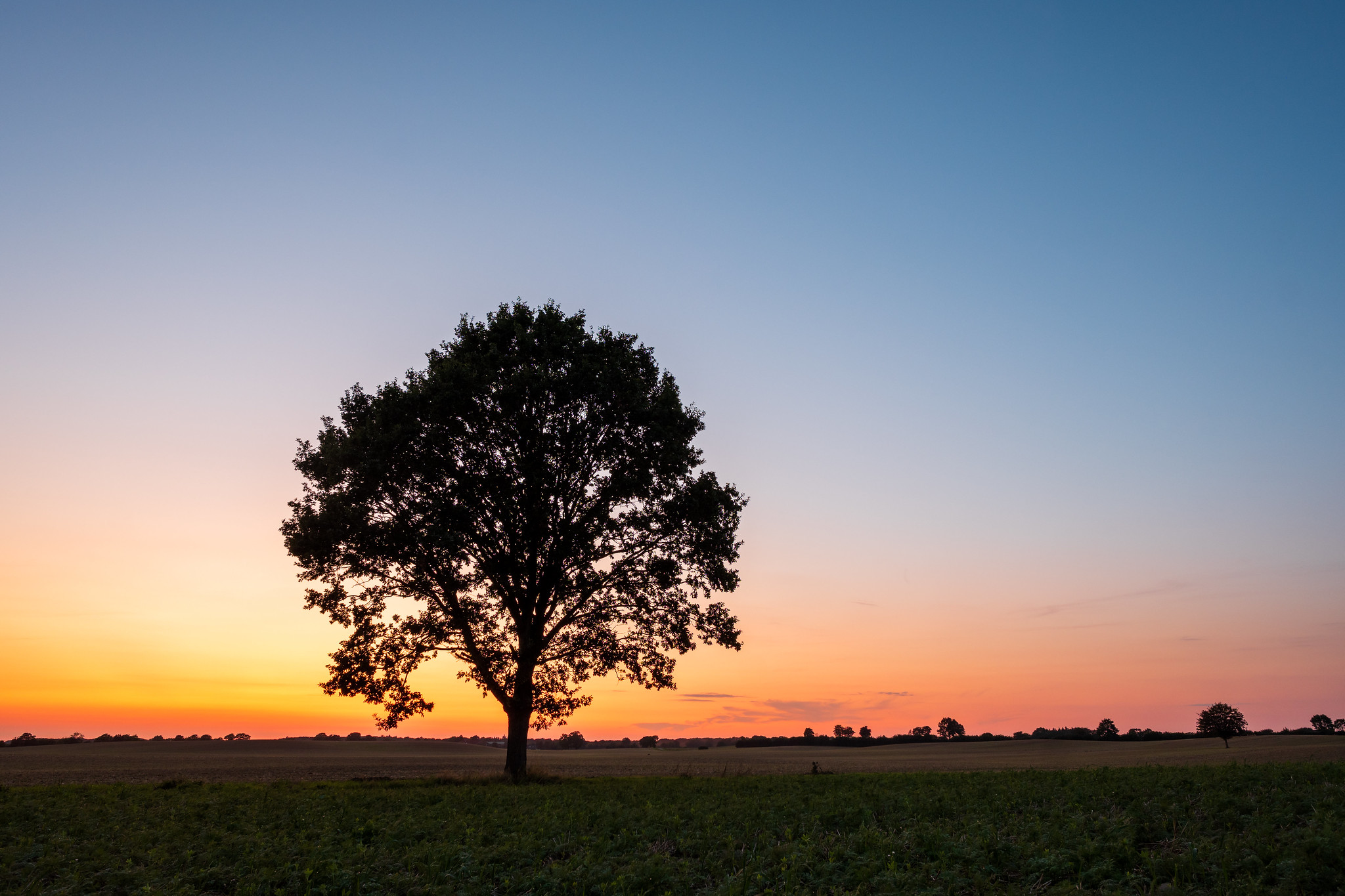 Sonnenuntergang in der Holsteinischen Schweiz